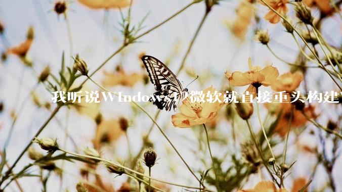 我听说Windows12微软就直接重头构建Windows了，就直接重构Win内核了，到底是不是真的?