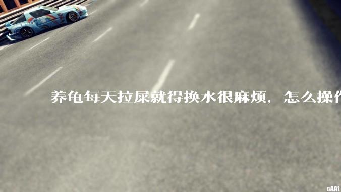 养龟每天拉屎就得换水很麻烦，怎么操作能省点事?