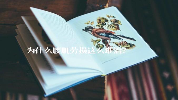 为什么腰肌劳损这么难治？