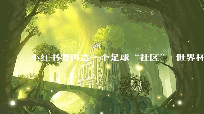 小红书要再造一个足球“社区”_世界杯_版权_品牌