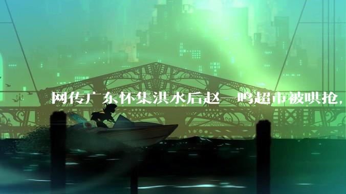 网传广东怀集洪水后赵一鸣超市被哄抢，县***回应相关单位正在核实，若属实哄抢者该承担哪些法律责任？