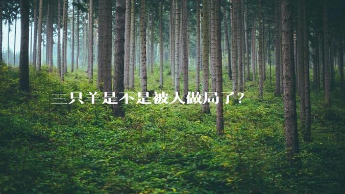 三只羊是不是被人做局了？