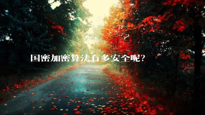国密加密算法有多安全呢？