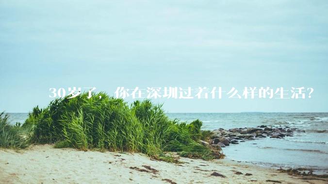 30岁了，你在深圳过着什么样的生活？