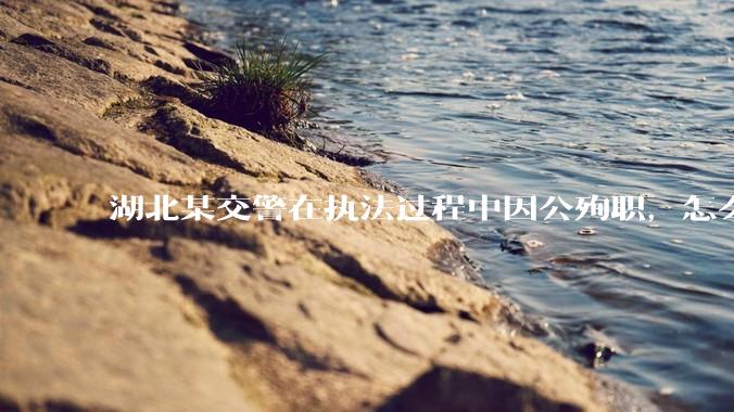 湖北某交警在执法过程中因公殉职，怎么看待这起案件？
