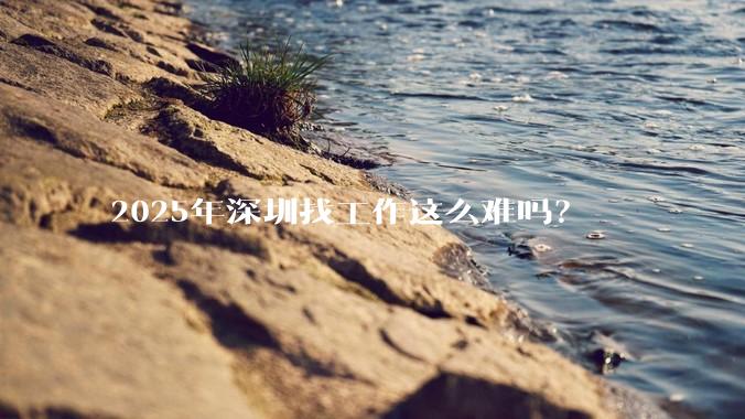 2025年深圳找工作这么难吗？